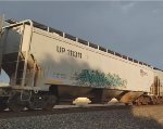 UP 111311